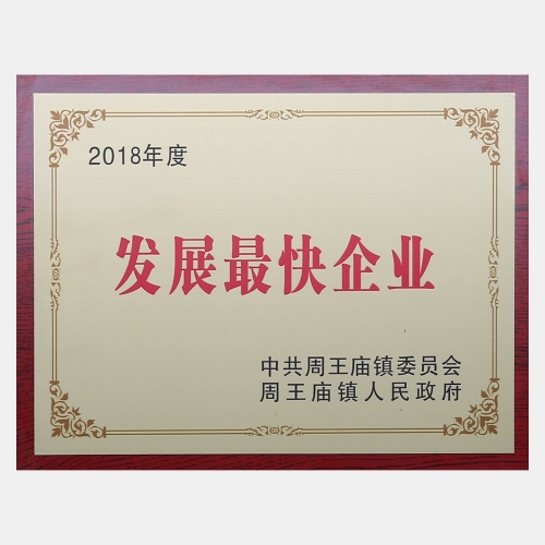 2018年度發(fā)展最快企業(yè)